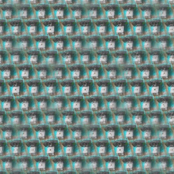 Fu