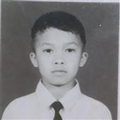 Vi