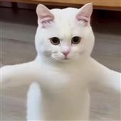 Tỷ
