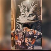 Xổ