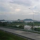 Sự