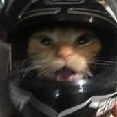 Su