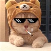DJ