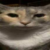 Un