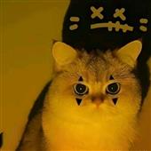 Tạ