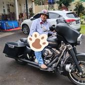 Lị