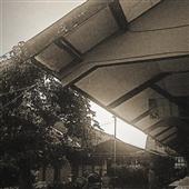 Tr