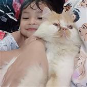 ro