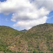 An