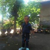 Bu