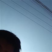 Se