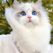 ch