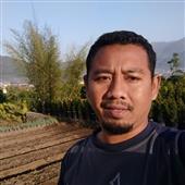 Cu