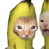 Pl