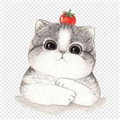Vậ